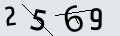 verifycode